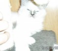 /album/fotogalerie-3-elizabeth/a62-dni-031-jpg/